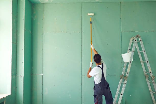 Professional Dry wall and painting in North Utica, IL